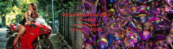 винт Горнозаводск